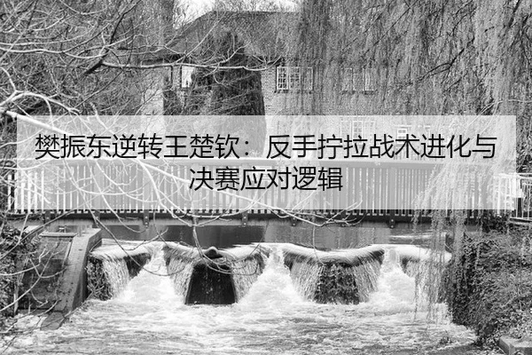 樊振东逆转王楚钦：反手拧拉战术进化与决赛应对逻辑